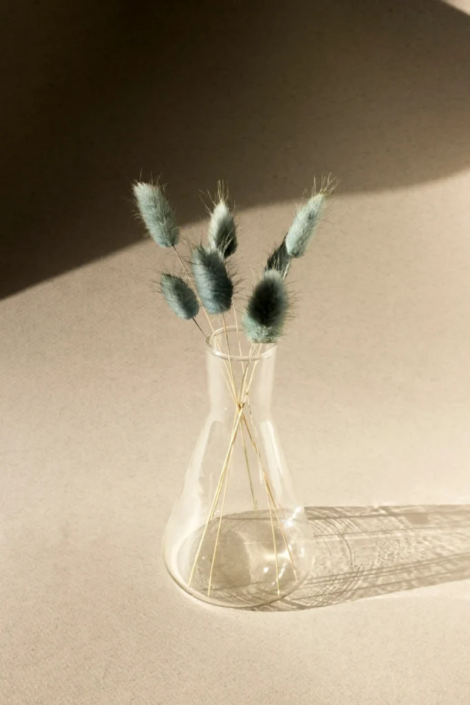 Nada Unterstützung